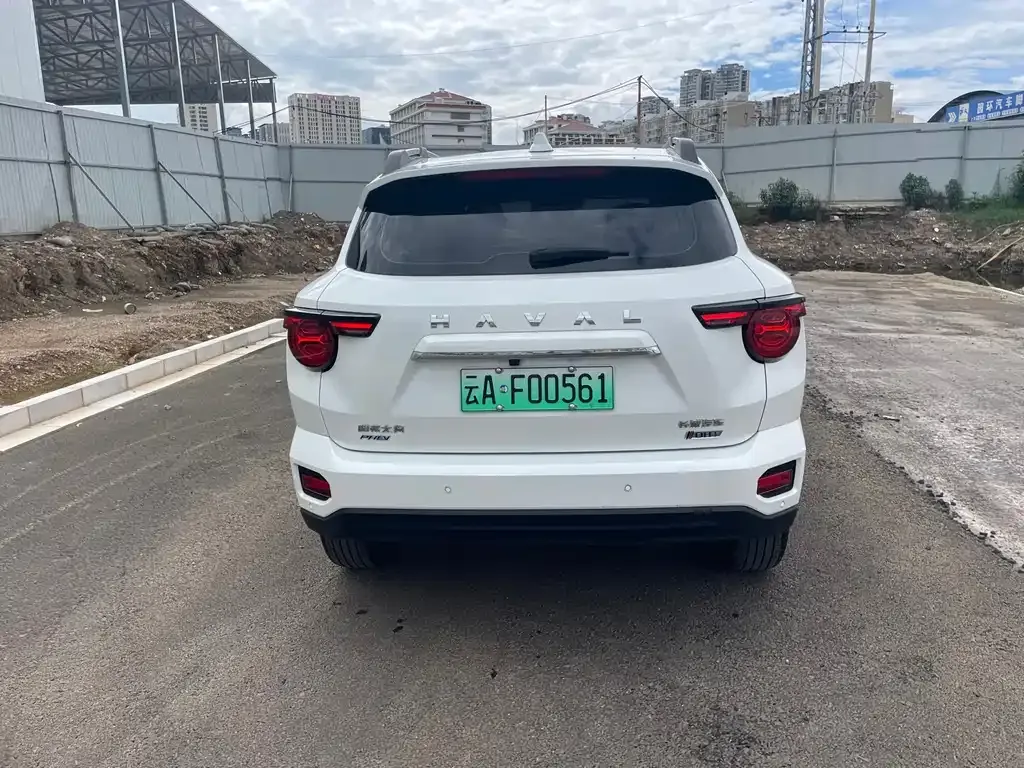Haval Big Dog PLUS New Energy — фото 8