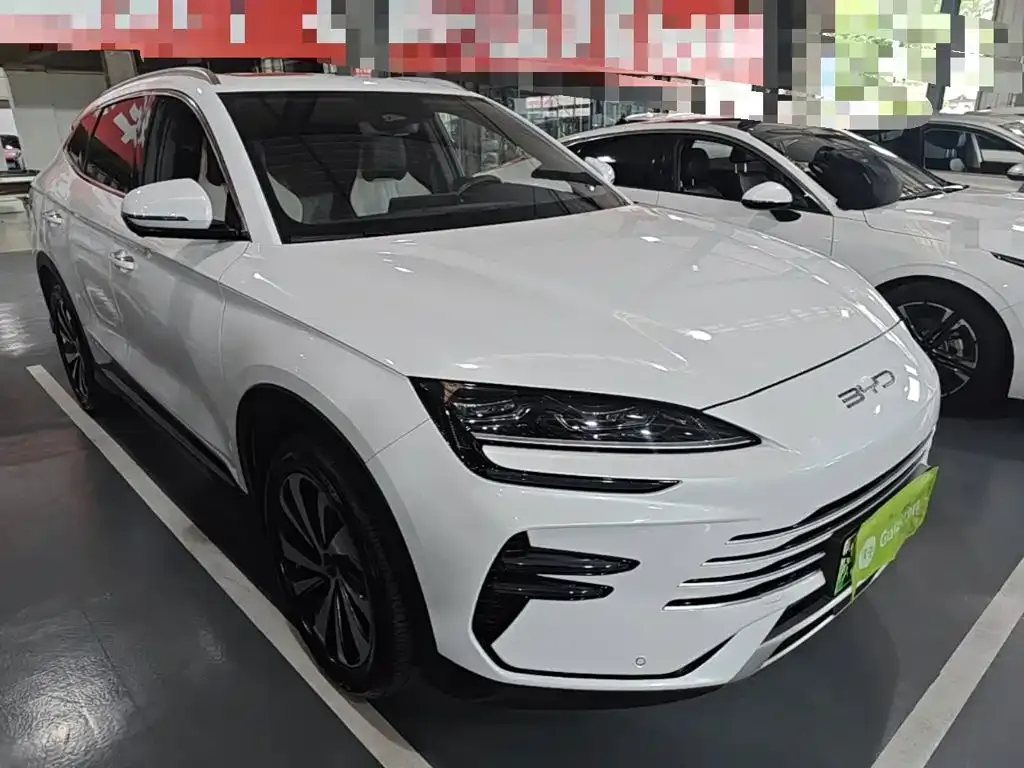 BYD PLUS New Energy — фото 9