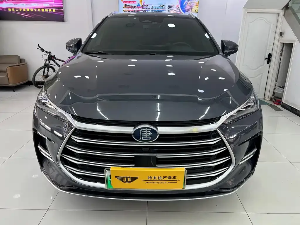 BYD Tang New Energy — фото 5