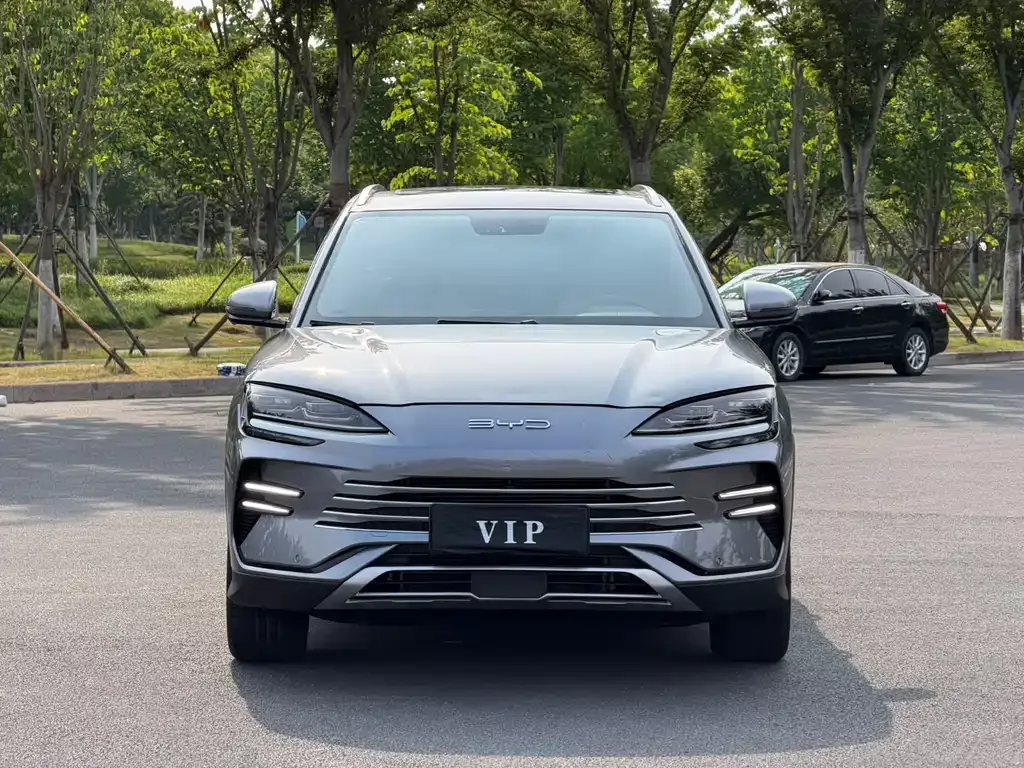 BYD PLUS New Energy — фото 6