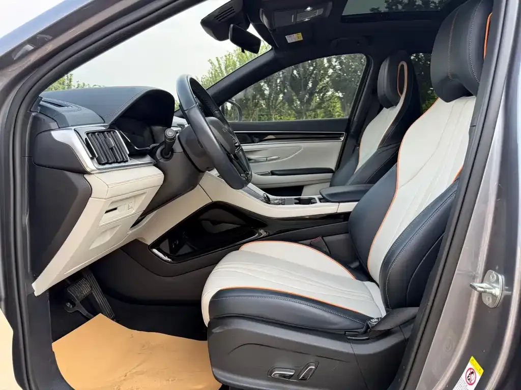 BYD PLUS New Energy — фото 10