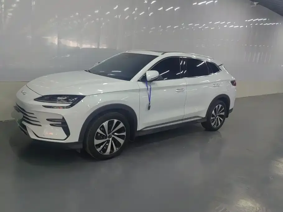 BYD PLUS New Energy — фото 1