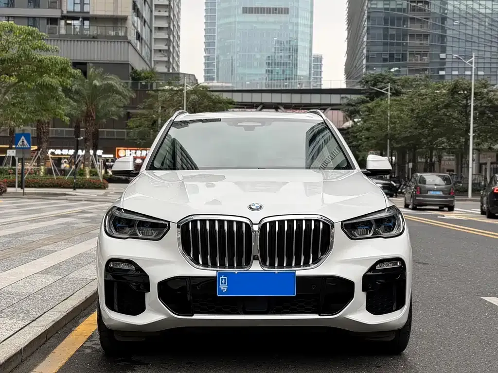 BMW X5 (Import) — фото 3