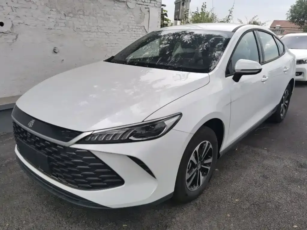 BYD Qin PLUS — фото 1