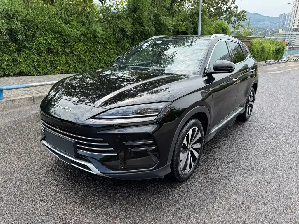 BYD PLUS New Energy — фото 1