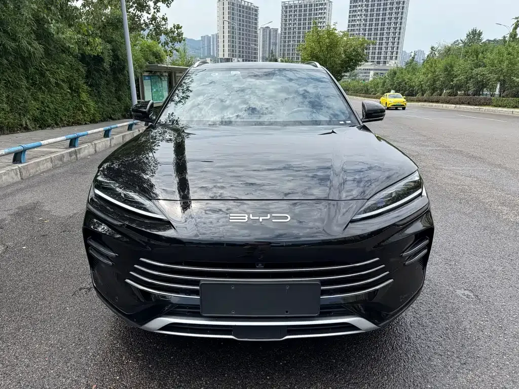 BYD PLUS New Energy — фото 8