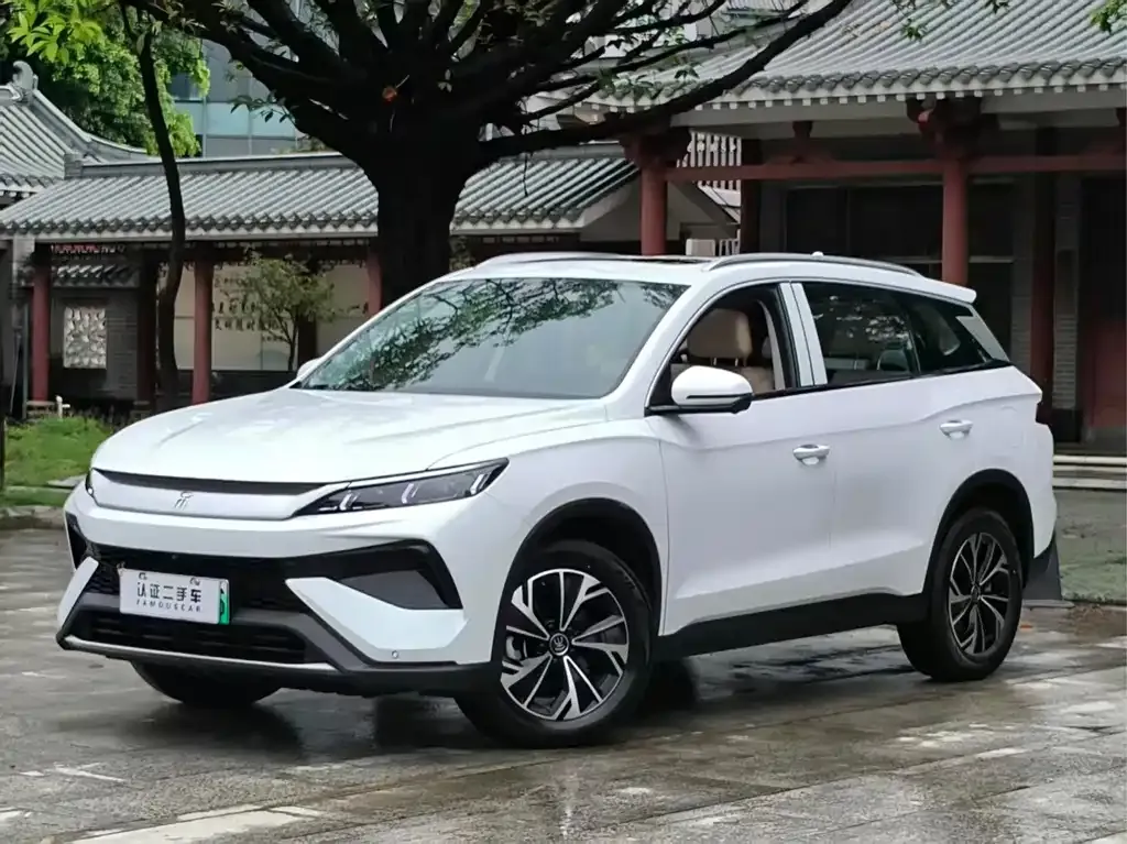 BYD Pro New Energy — фото 1