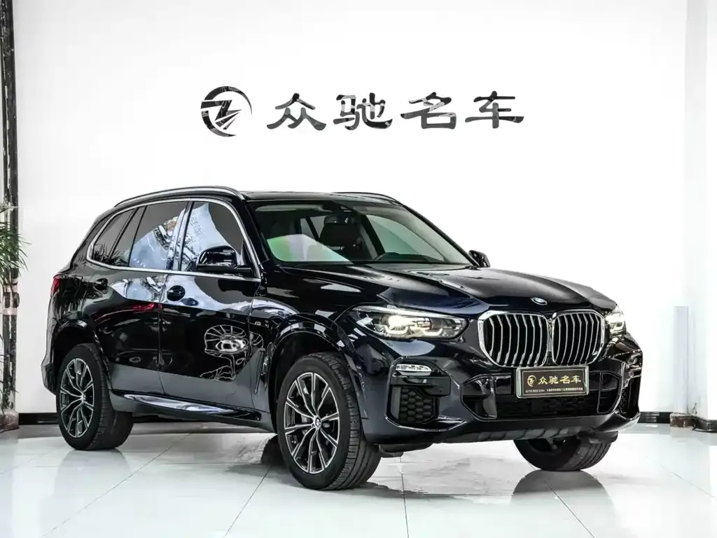 BMW X5 New Energy (Import) — фото 5