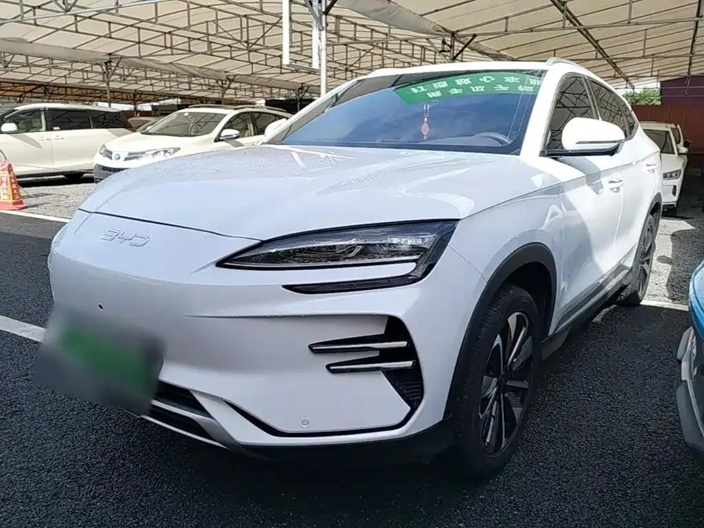 BYD PLUS New Energy — фото 1