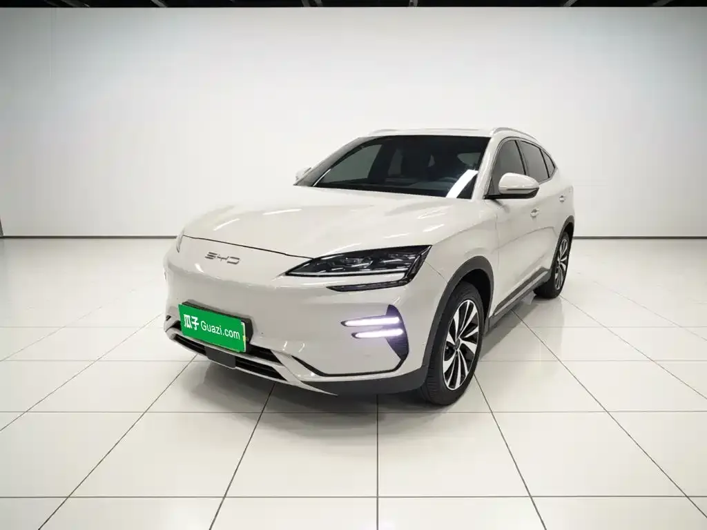 BYD PLUS New Energy — фото 1