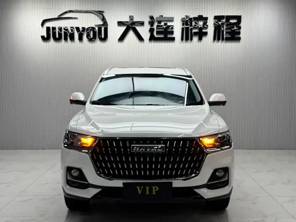 Haval H6 — фото 5