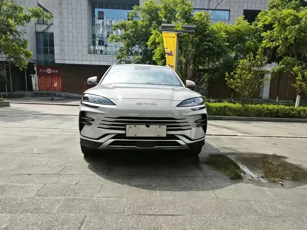 BYD PLUS New Energy — фото 1