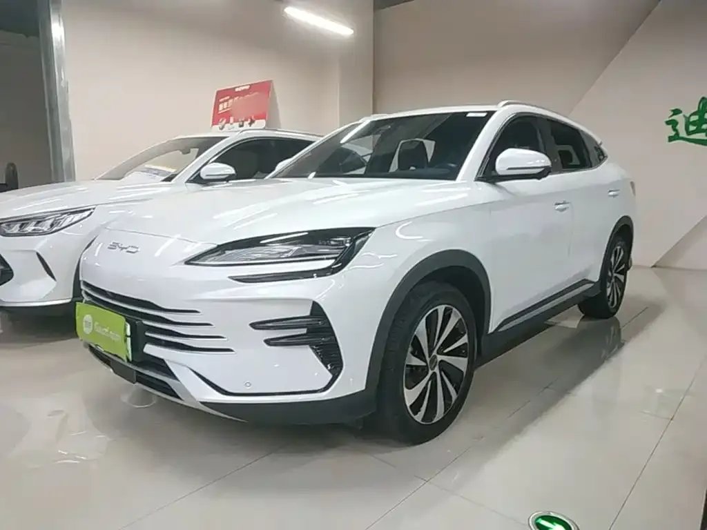 BYD PLUS New Energy — фото 1