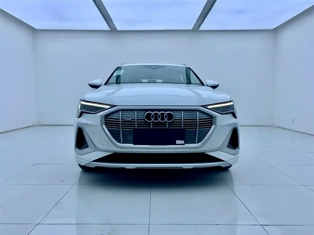 Audi e-tron — фото 4