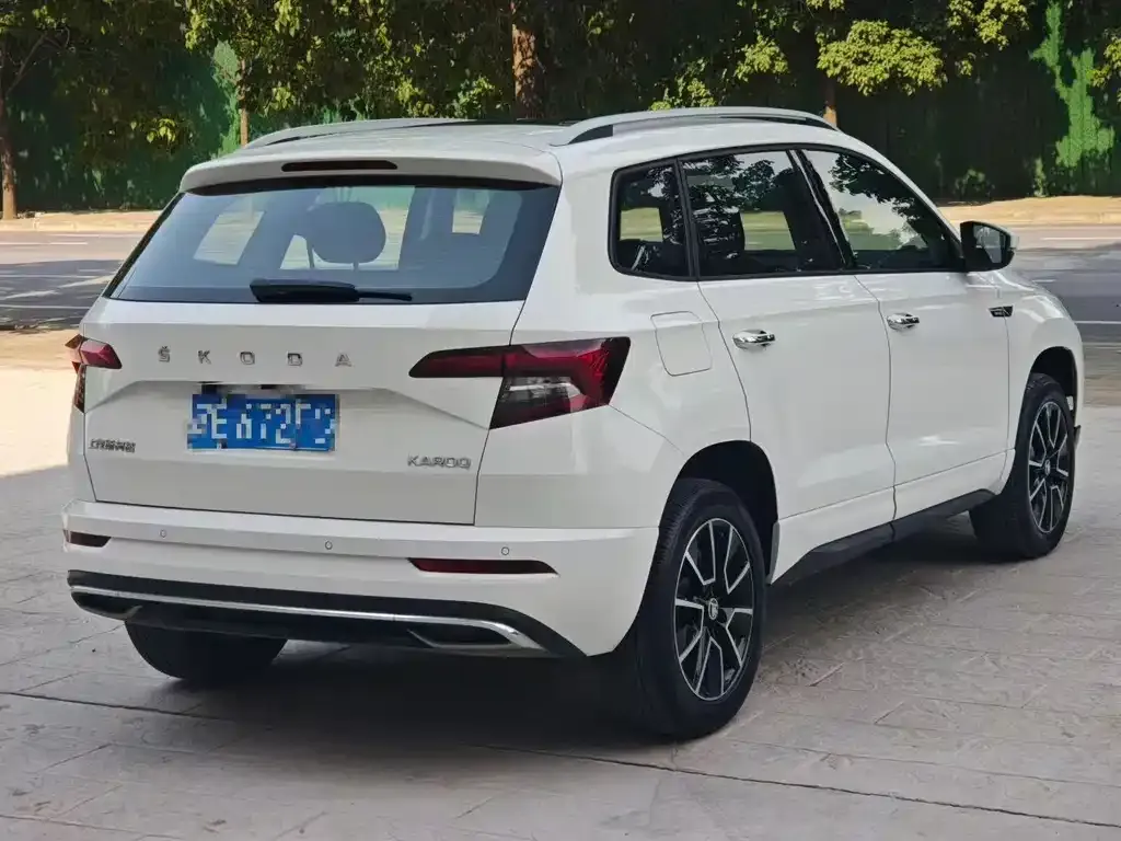 Skoda Karoq — фото 8