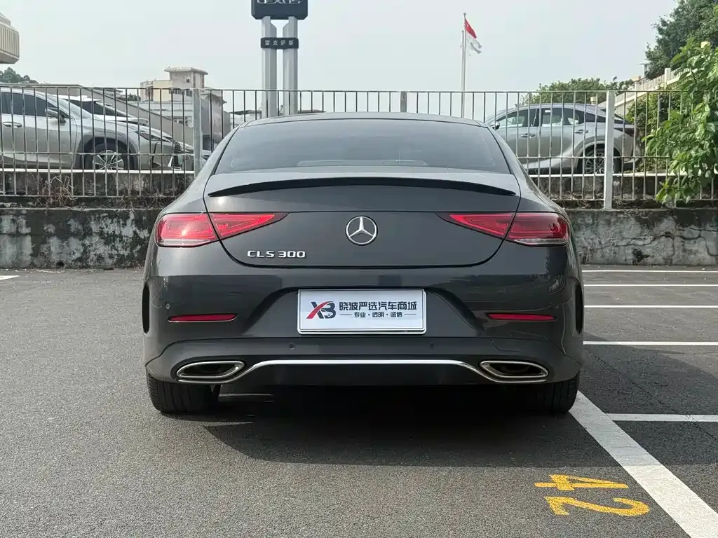 Mercedes-Benz CLS — фото 9
