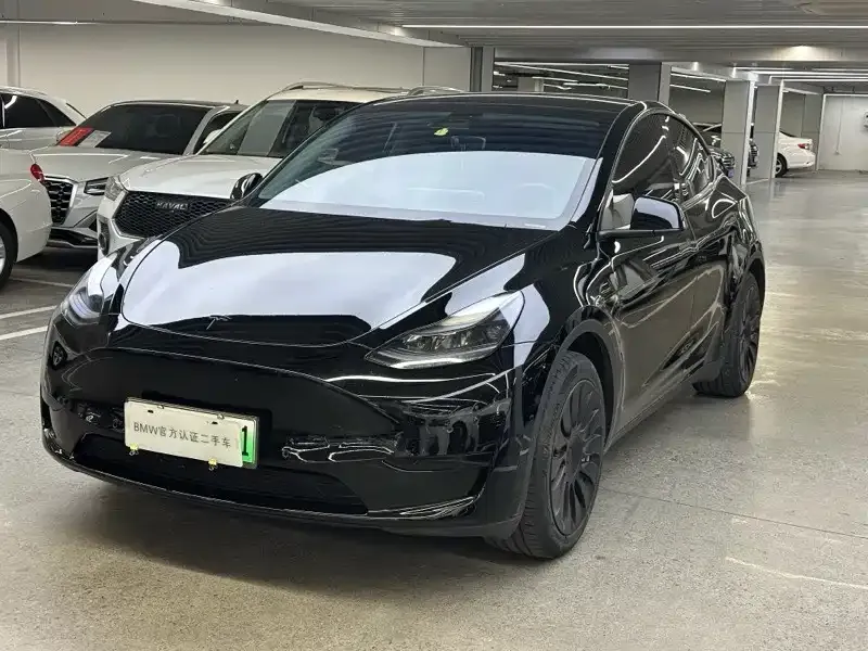 Tesla Model Y — фото 1