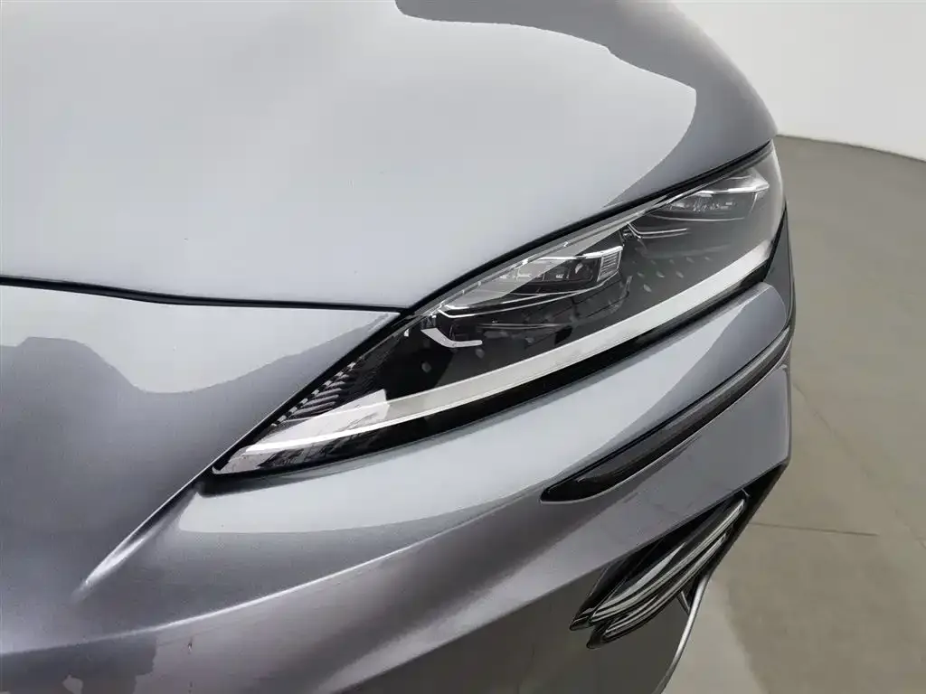 BYD PLUS New Energy — фото 2