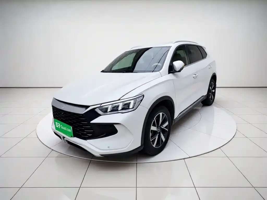 BYD Pro New Energy — фото 1
