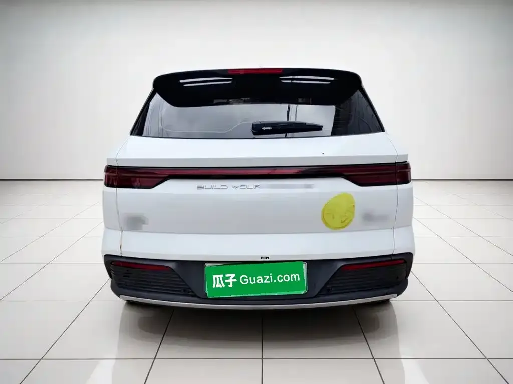 BYD Pro New Energy — фото 3