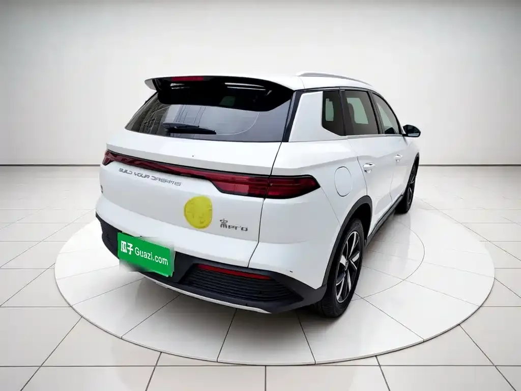 BYD Pro New Energy — фото 2