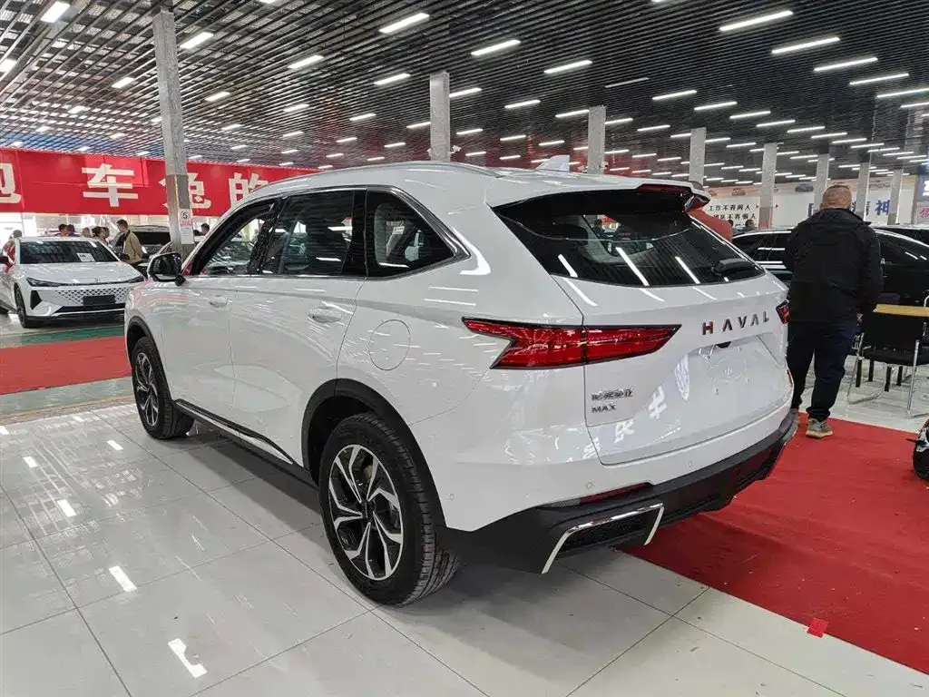 Haval Xiaolong MAX — фото 10