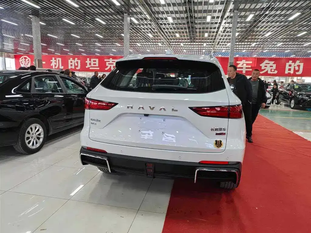 Haval Xiaolong MAX — фото 4