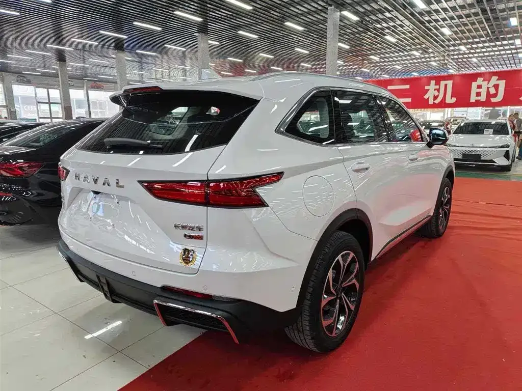 Haval Xiaolong MAX — фото 8