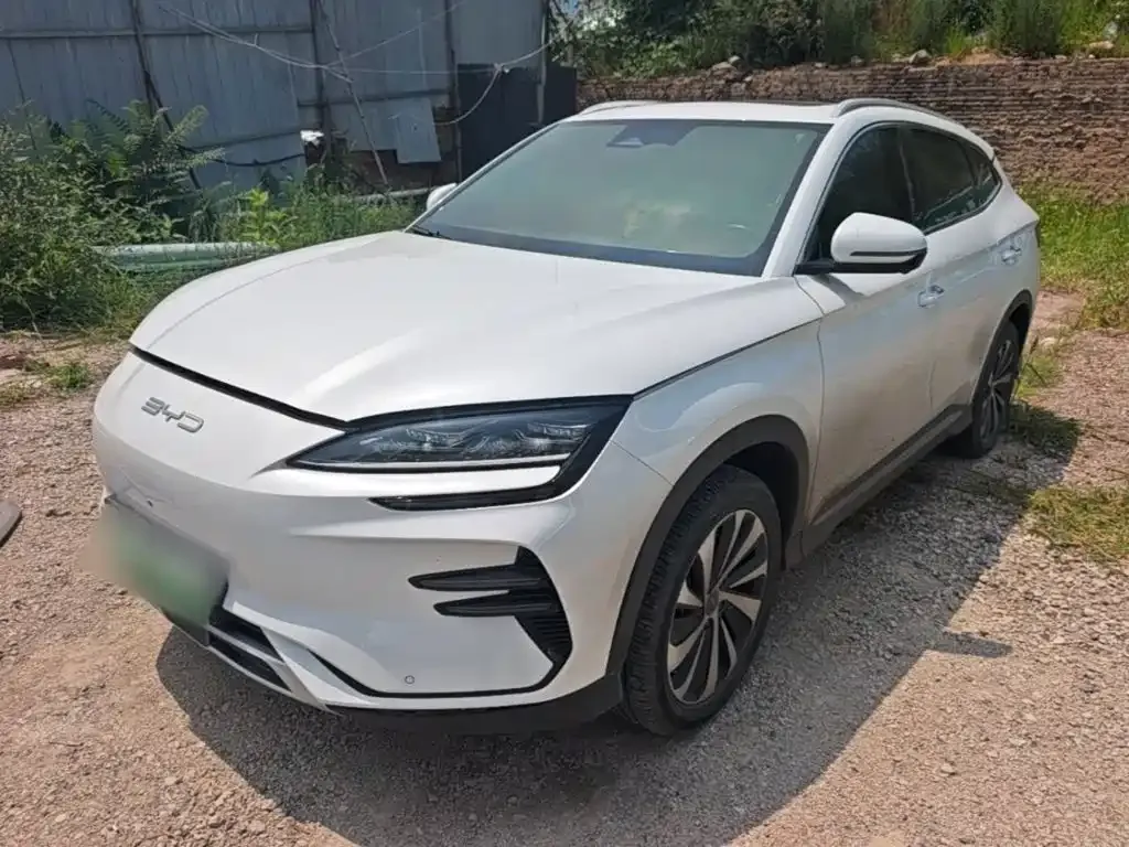 BYD PLUS New Energy — фото 1
