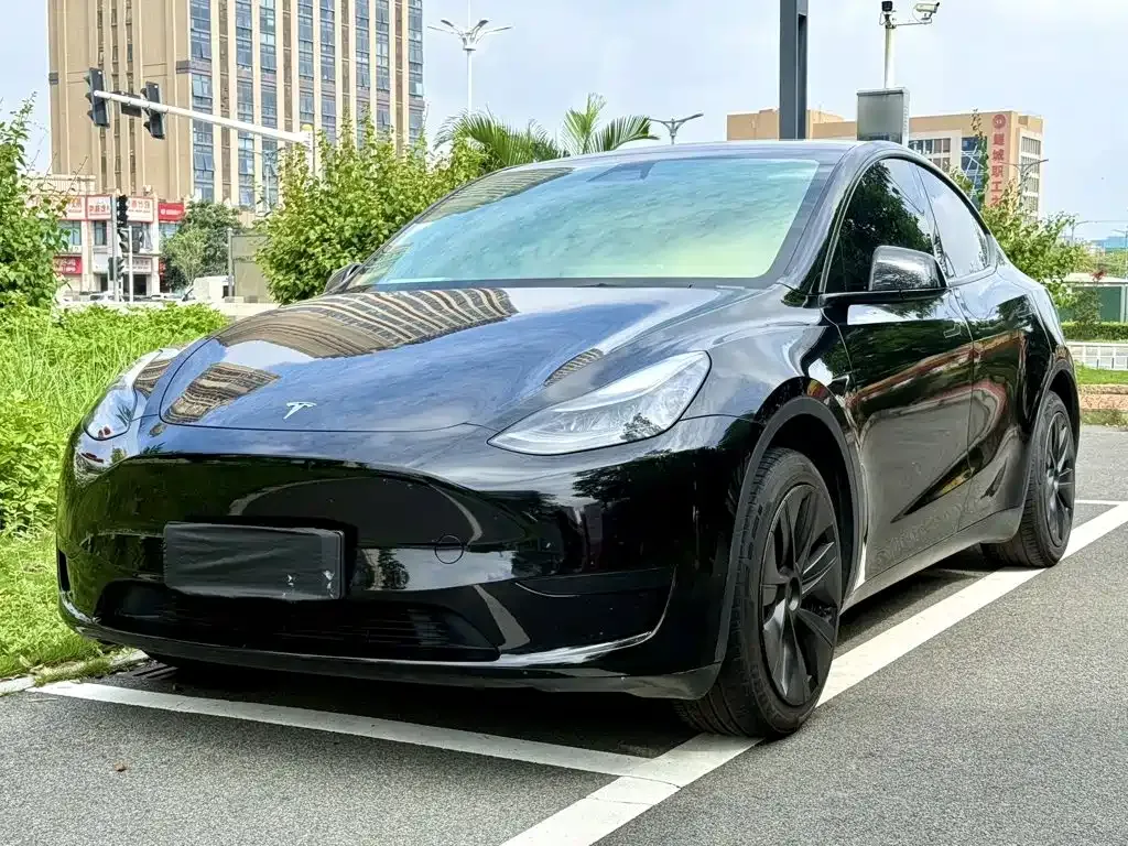 Tesla Model Y — фото 1