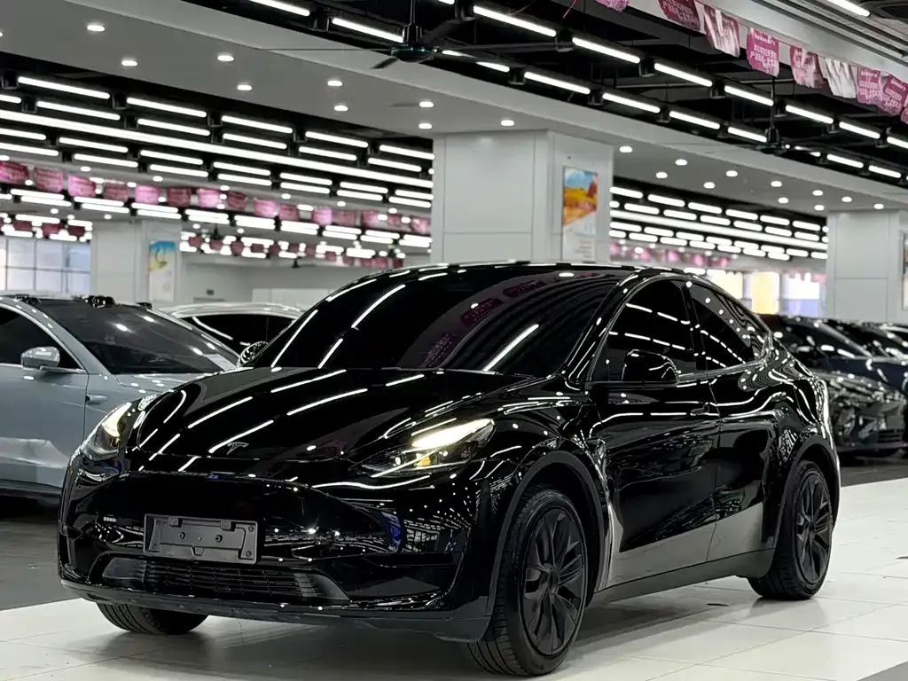 Tesla Model Y — фото 1