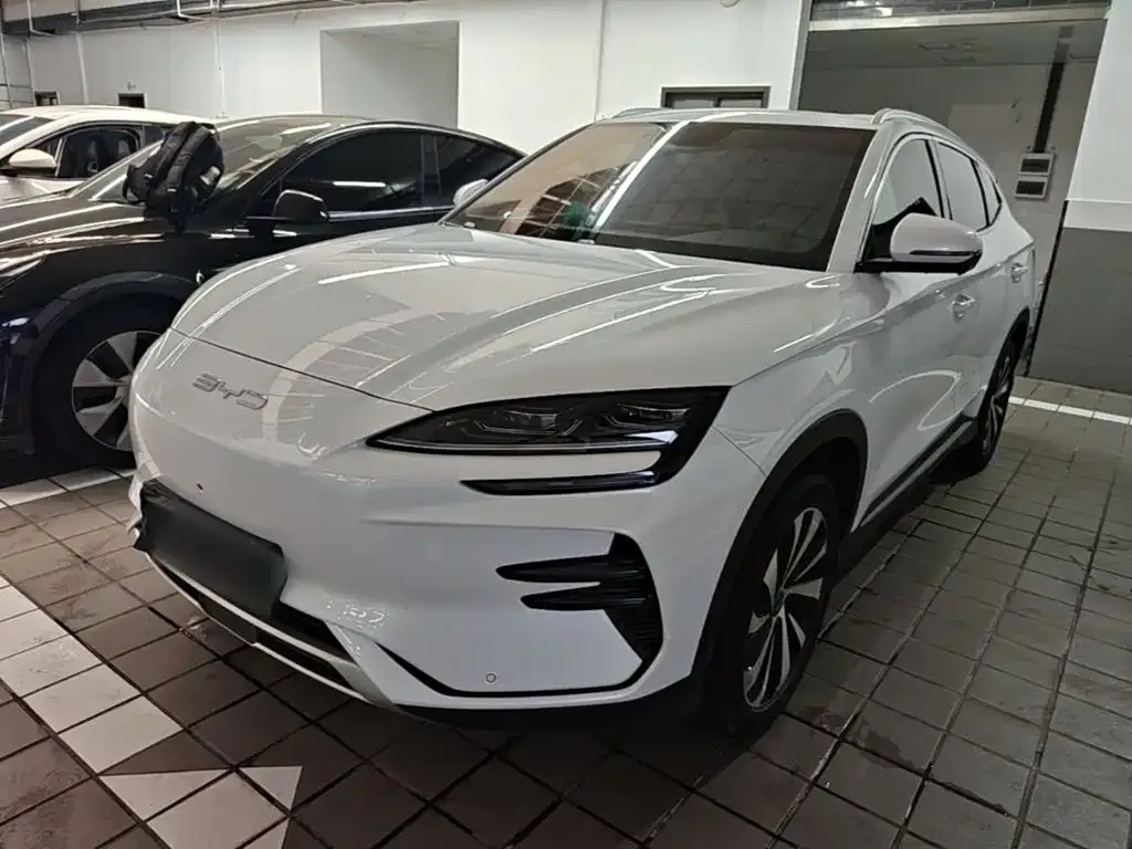 BYD PLUS New Energy — фото 1