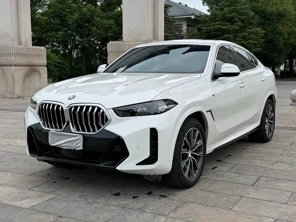 BMW X6 — фото 1