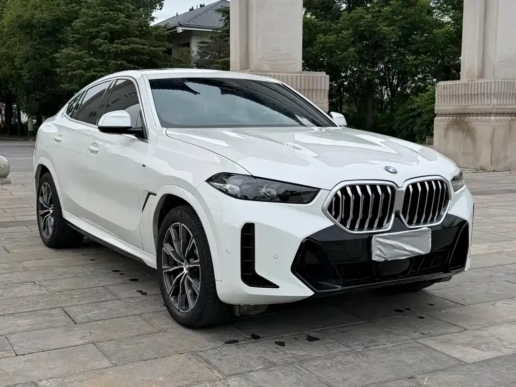 BMW X6 — фото 3