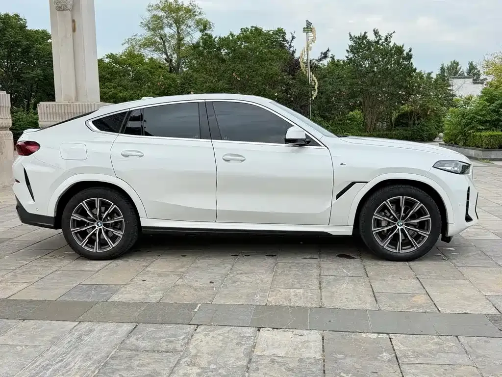 BMW X6 — фото 9