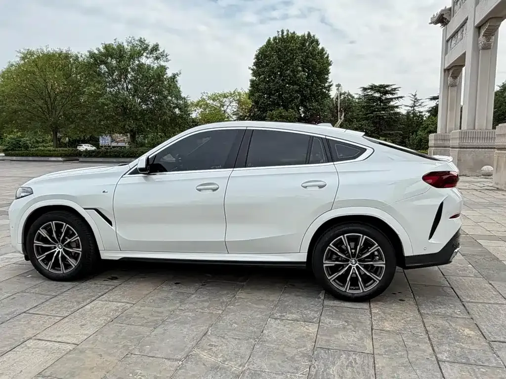 BMW X6 — фото 7