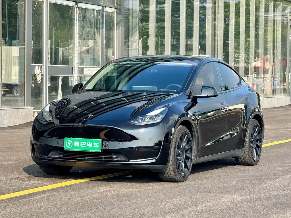 Tesla Model Y — фото 1