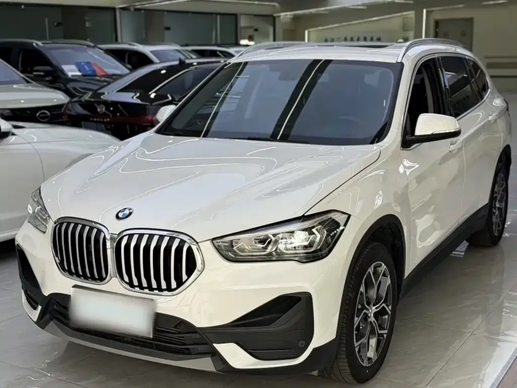 BMW X1 — фото 1