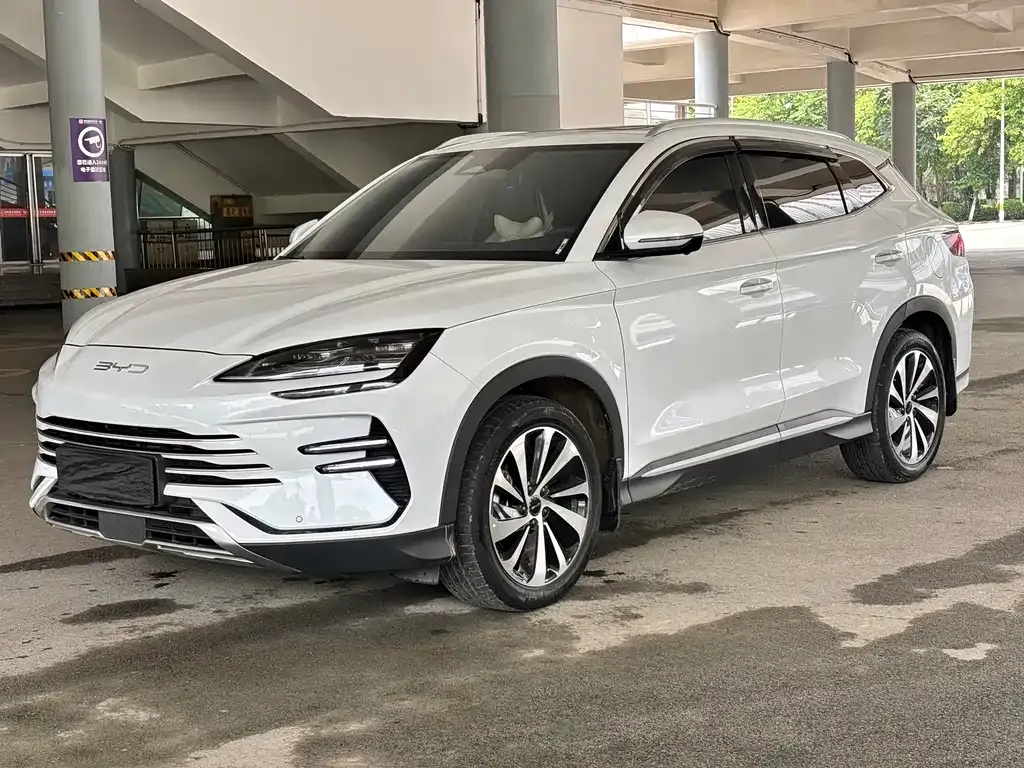 BYD PLUS New Energy — фото 1
