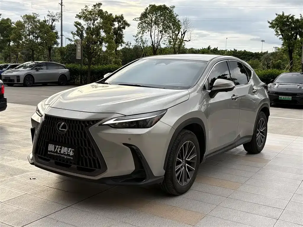 Lexus NX — фото 1