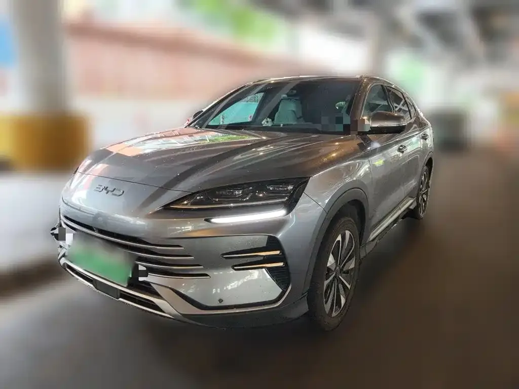 BYD PLUS New Energy — фото 1
