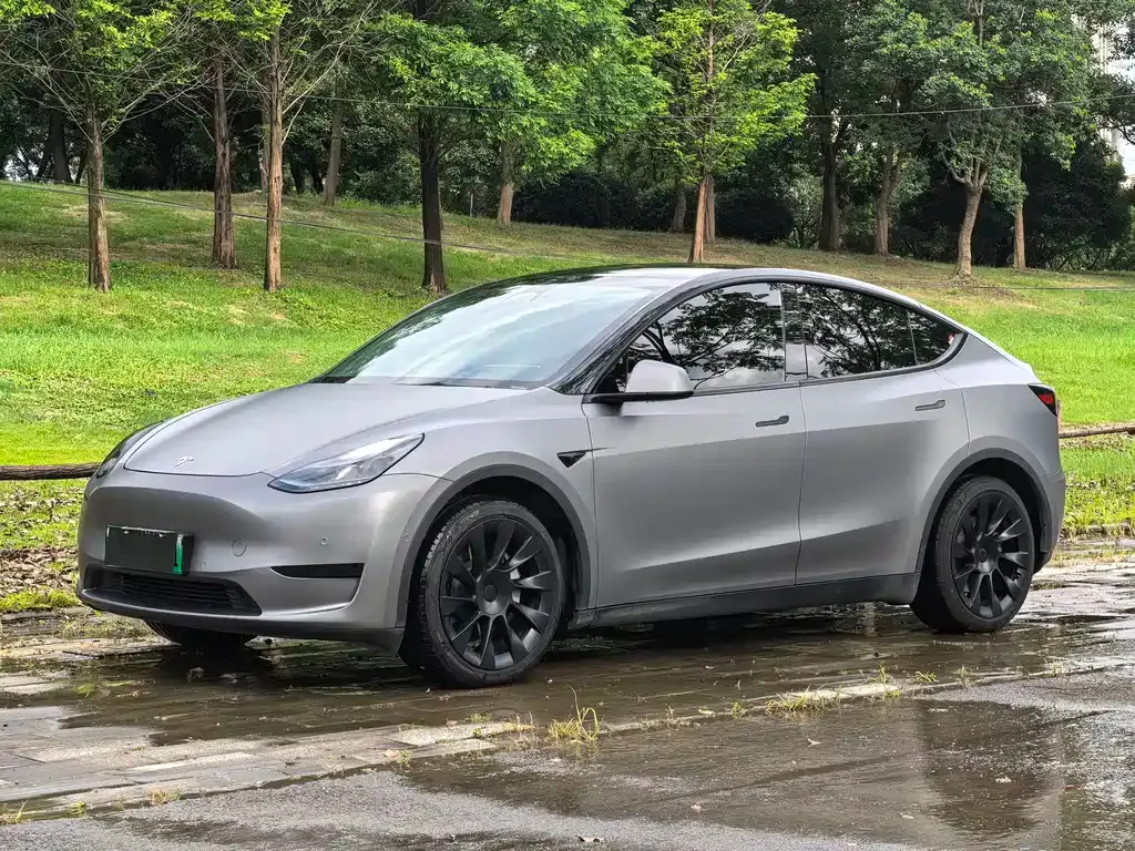 Tesla Model Y — фото 1