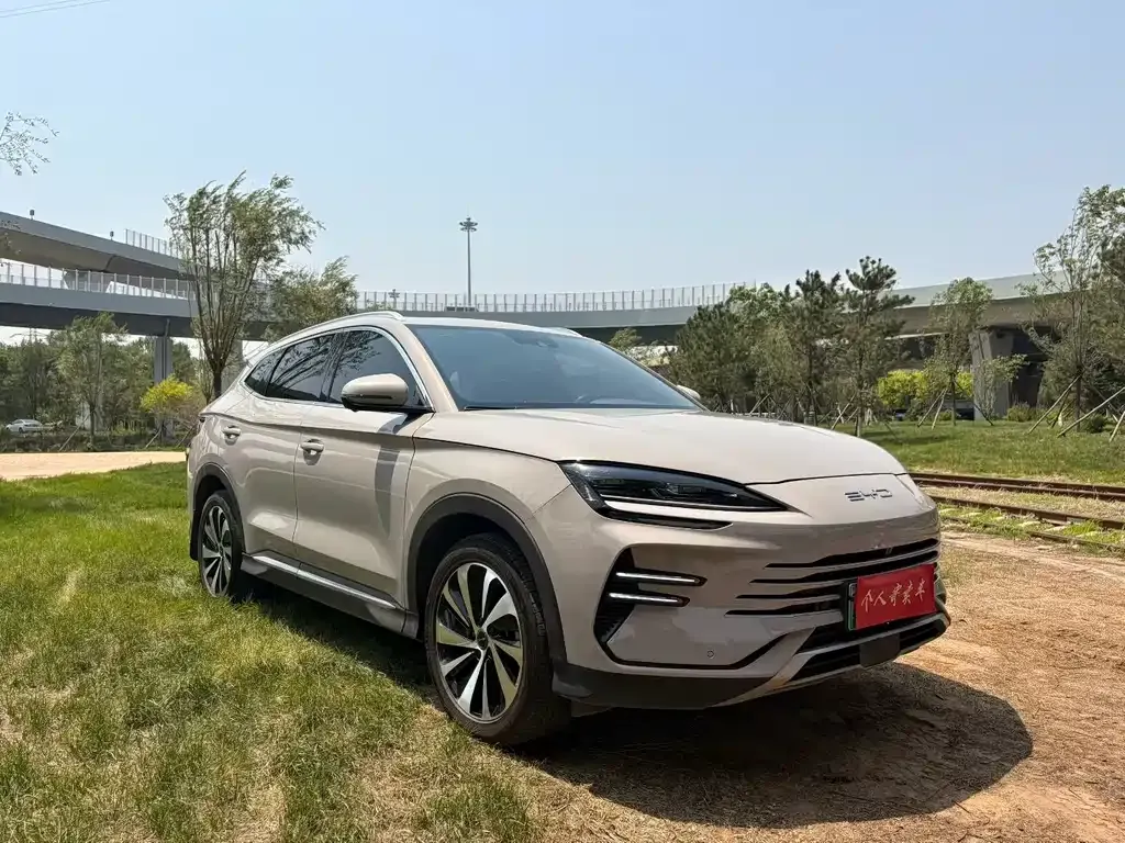 BYD PLUS New Energy — фото 1