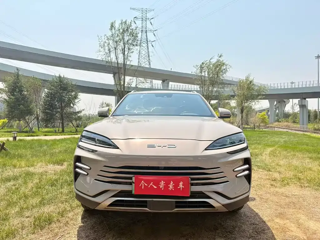 BYD PLUS New Energy — фото 4