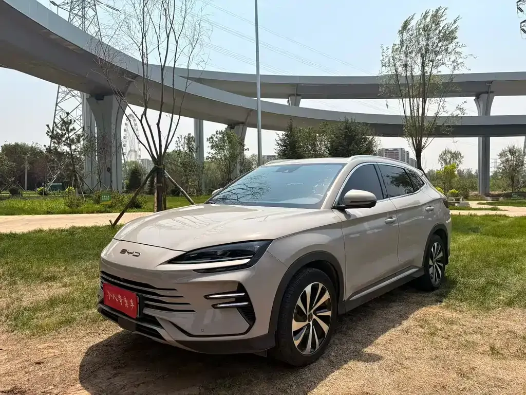 BYD PLUS New Energy — фото 7