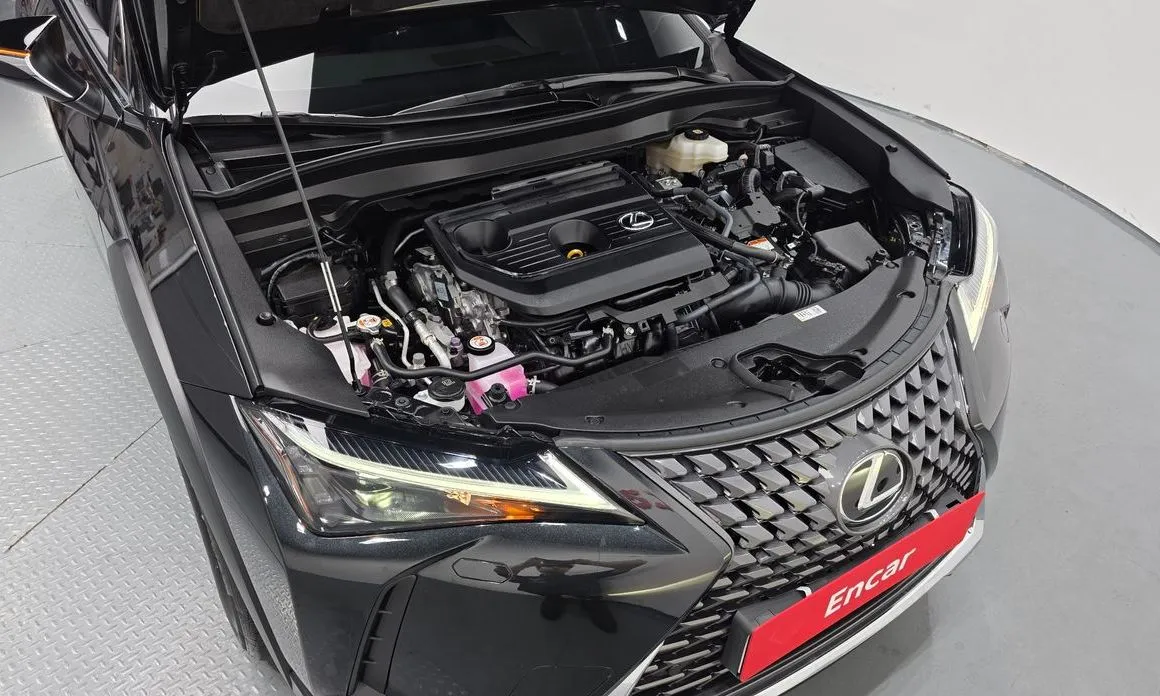 Lexus UX — фото 8