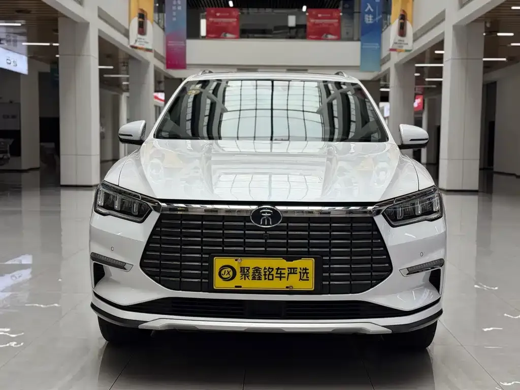 BYD Pro New Energy — фото 3