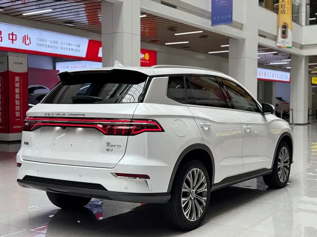 BYD Pro New Energy — фото 10