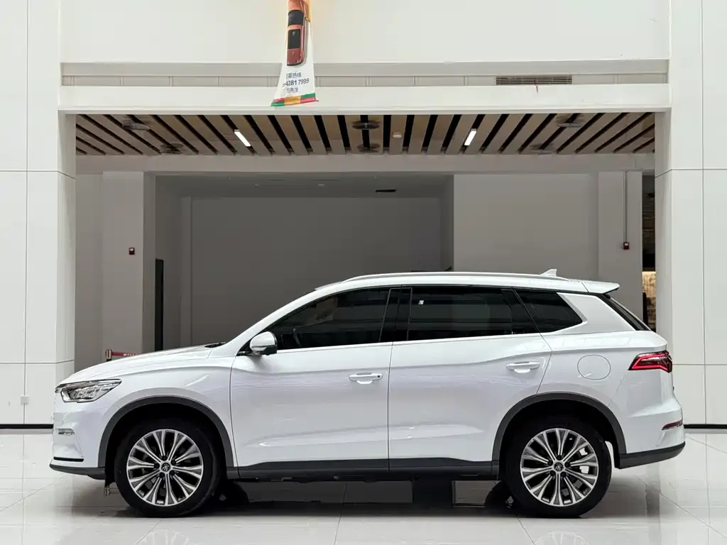 BYD Pro New Energy — фото 2