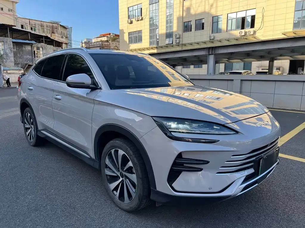 BYD PLUS New Energy — фото 4